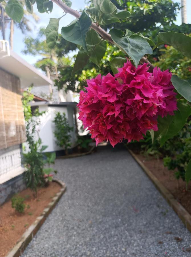 Dolphin Bay Guest house