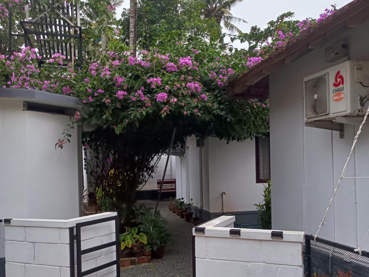 Dolphin Bay Guest house *