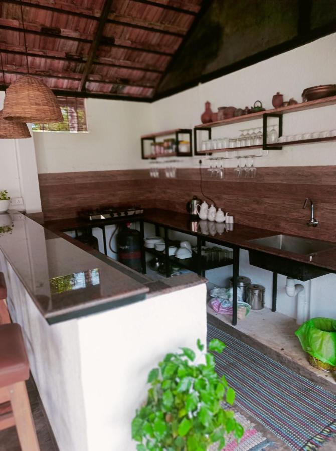 Dolphin Bay Varkala