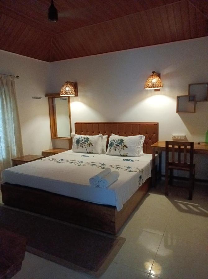 Dolphin Bay Guest house *