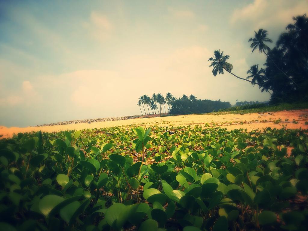 M R Beach & Homestay *