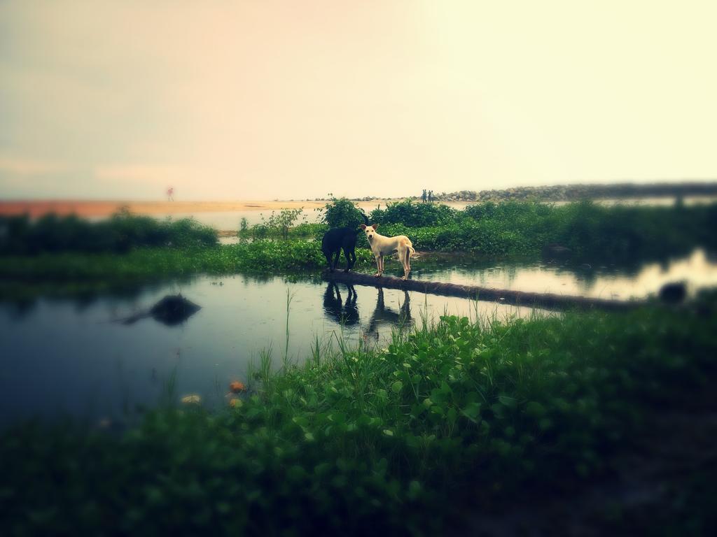 M R Beach & Homestay Varkala