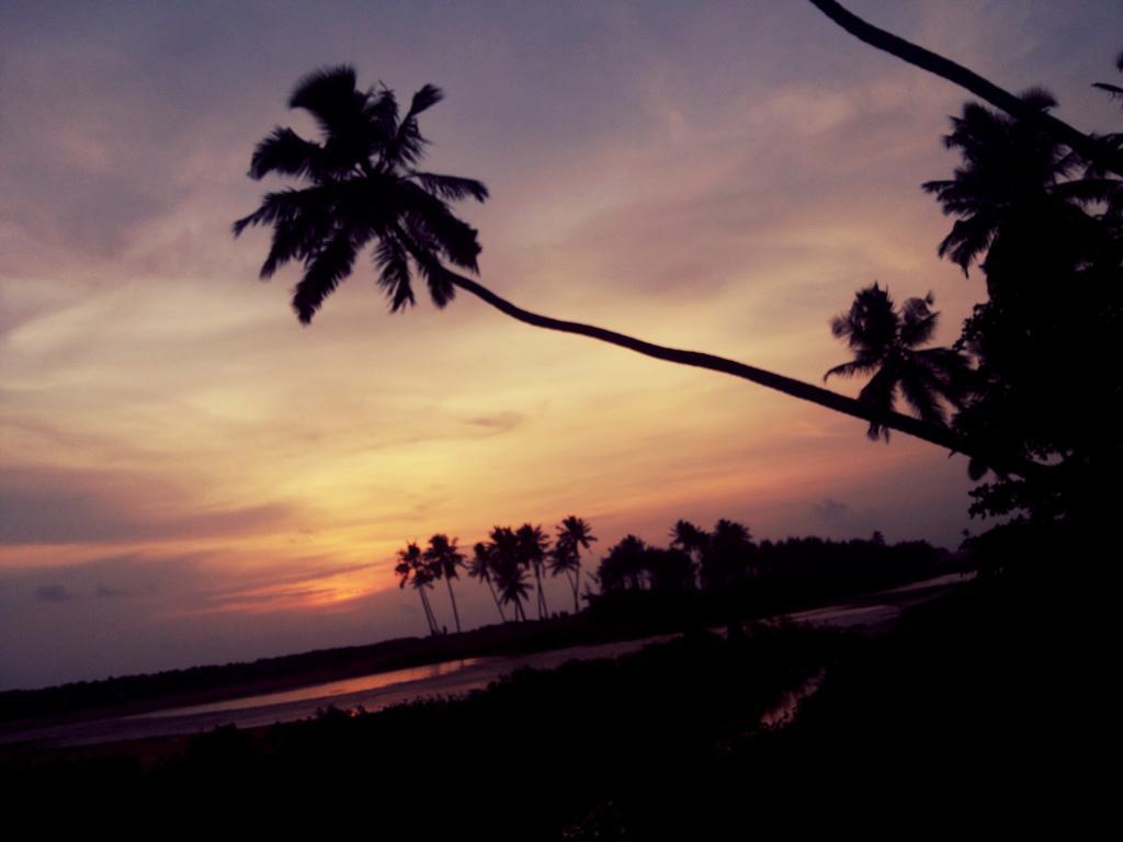 M R Beach & *