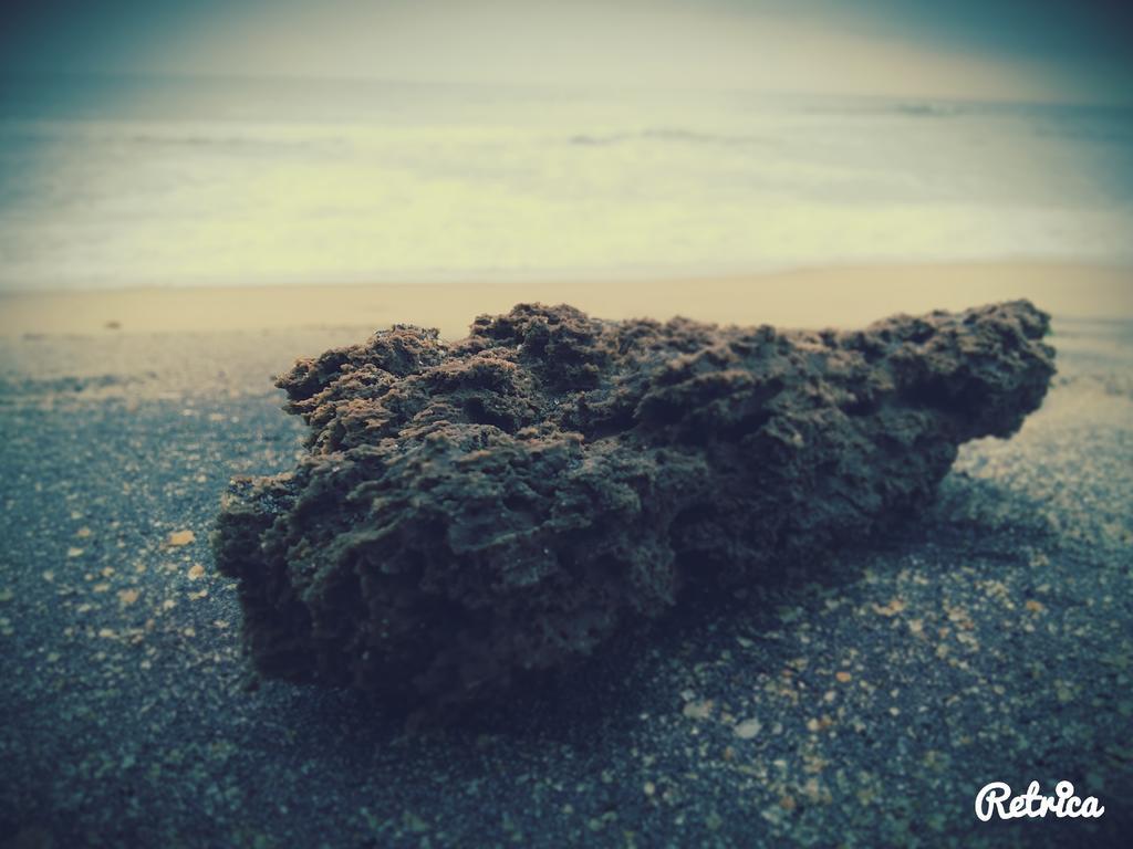 M R Beach & Homestay