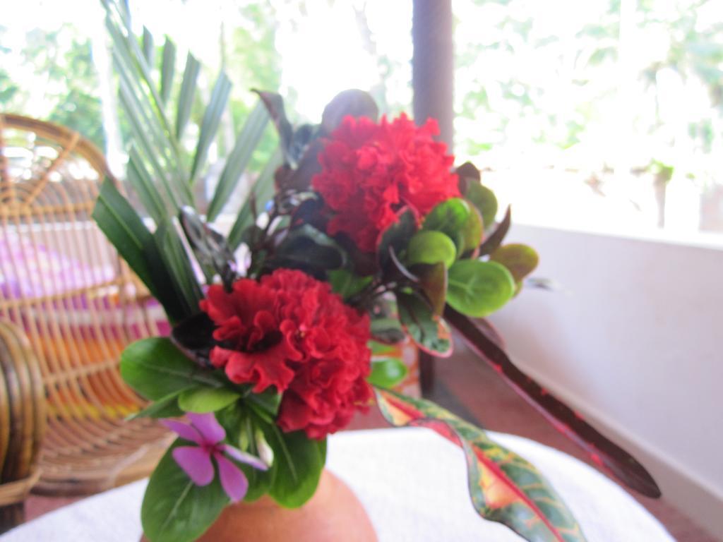 M R Beach & Homestay Varkala