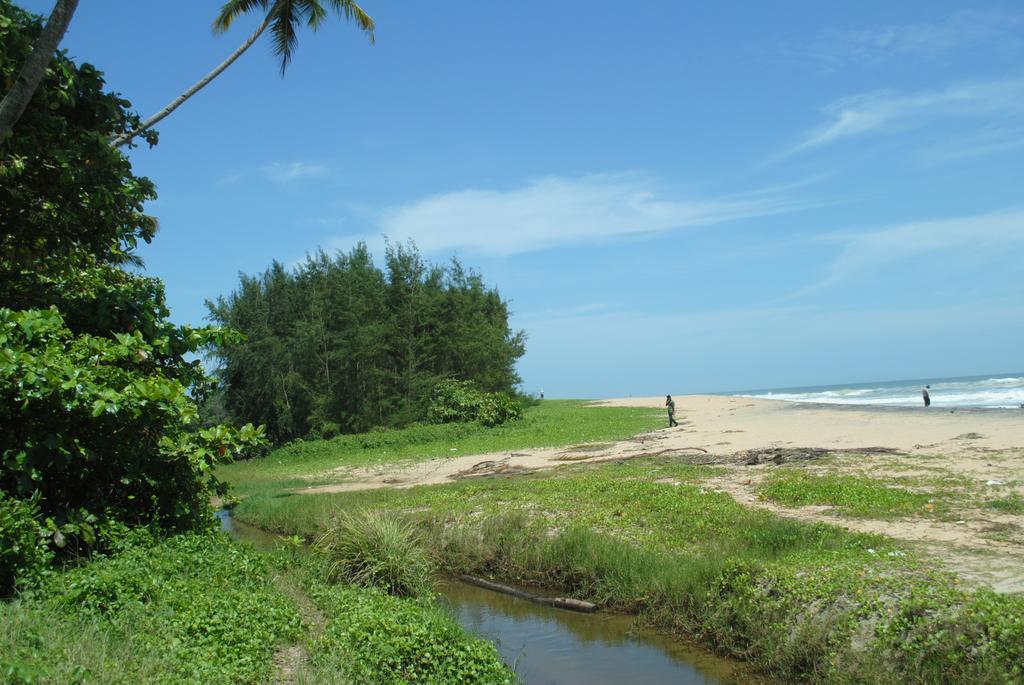 M R Beach & *