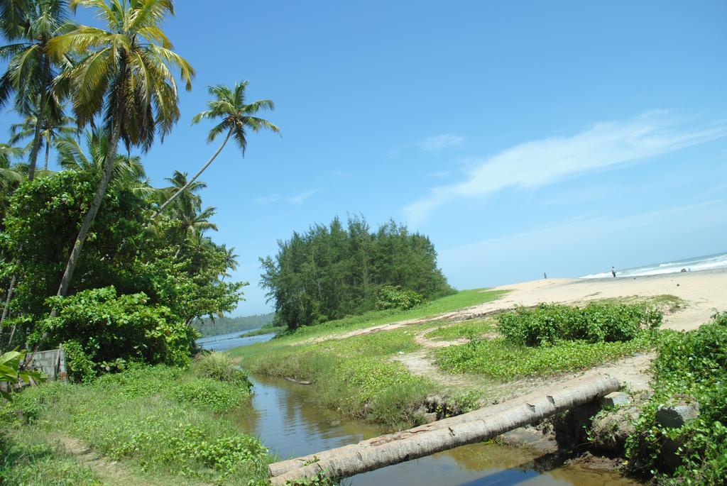 M R Beach & Homestay Varkala