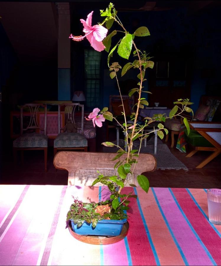 Jacaranda Bed & Breakfast