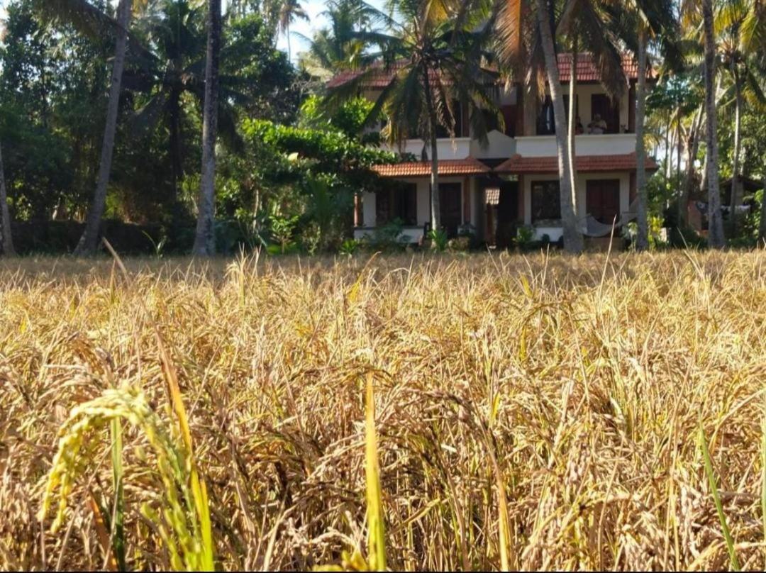 Paddy Farm House Resort *