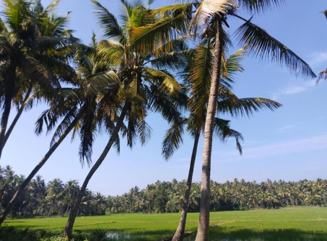 Paddy Farm House Resort