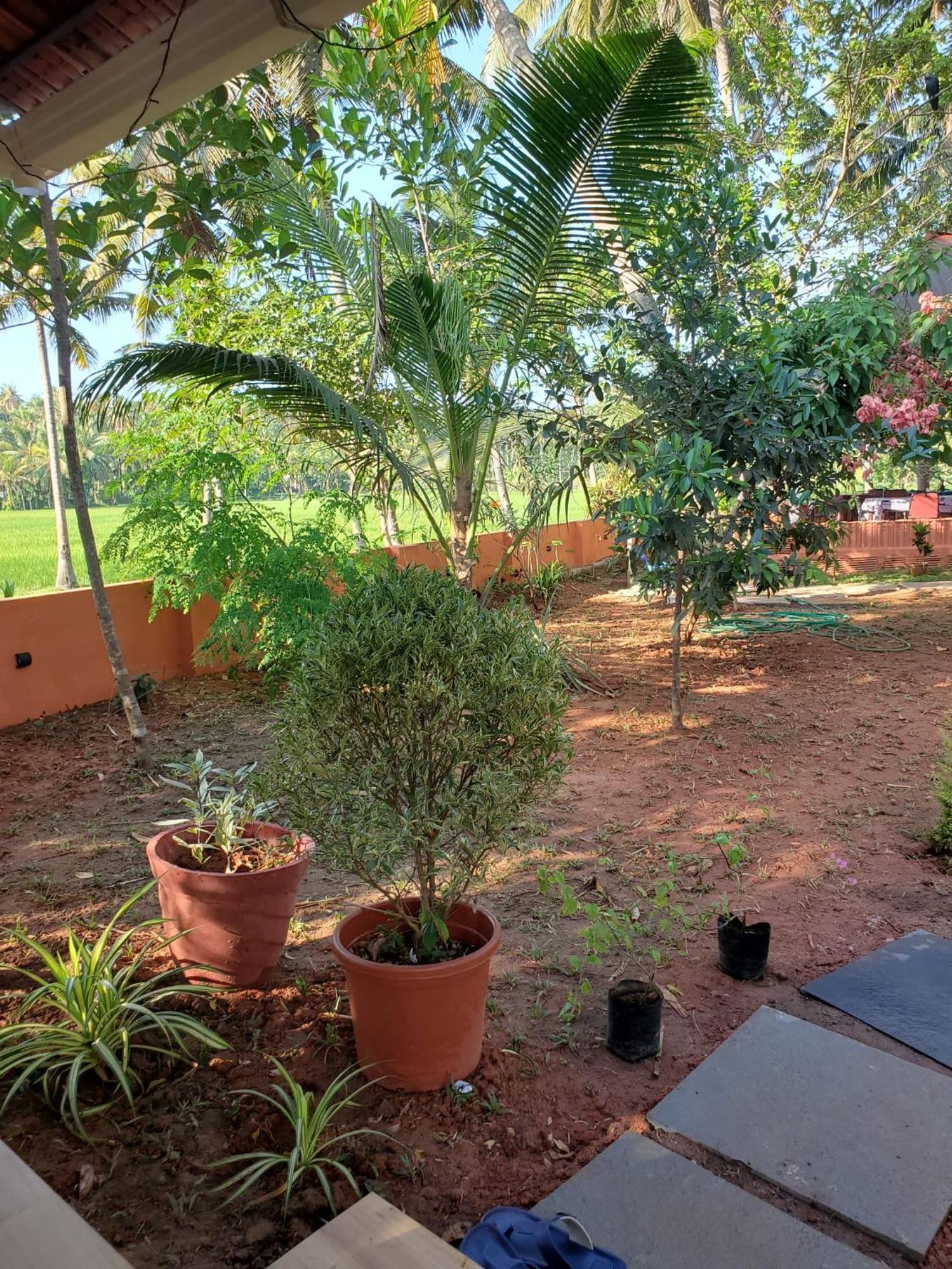 Doctors Ayurveda Heritage
