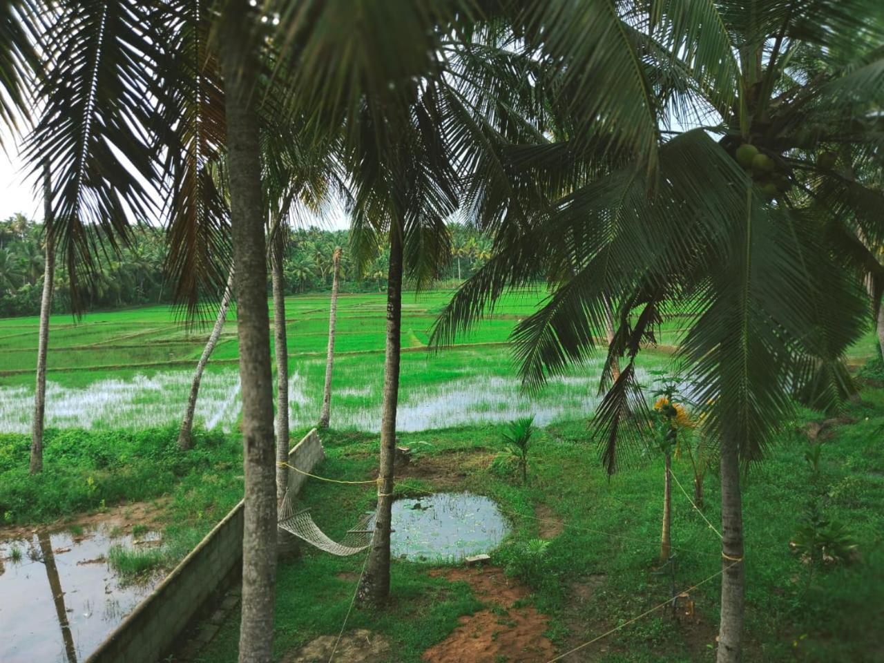 Paddy Farm House Resort Varkala