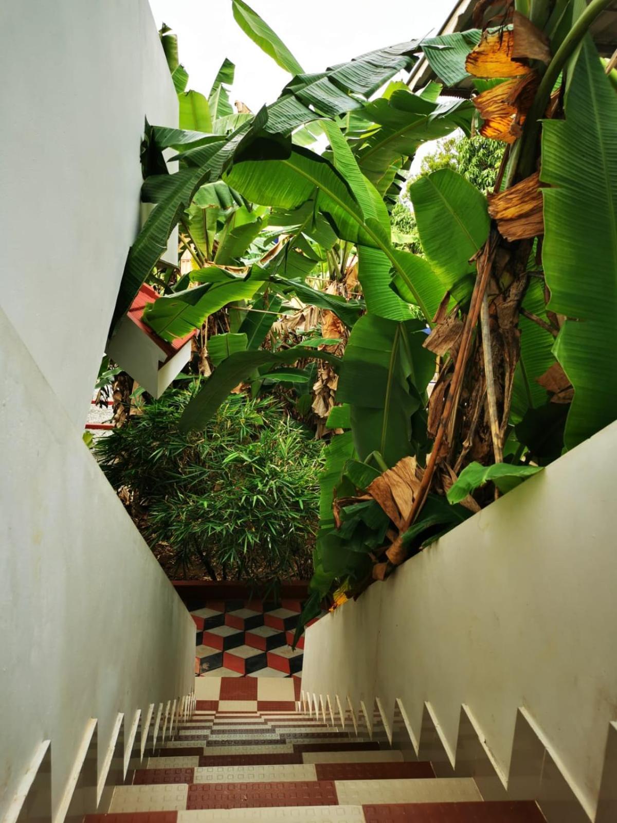 Tropical Stories Homestay *