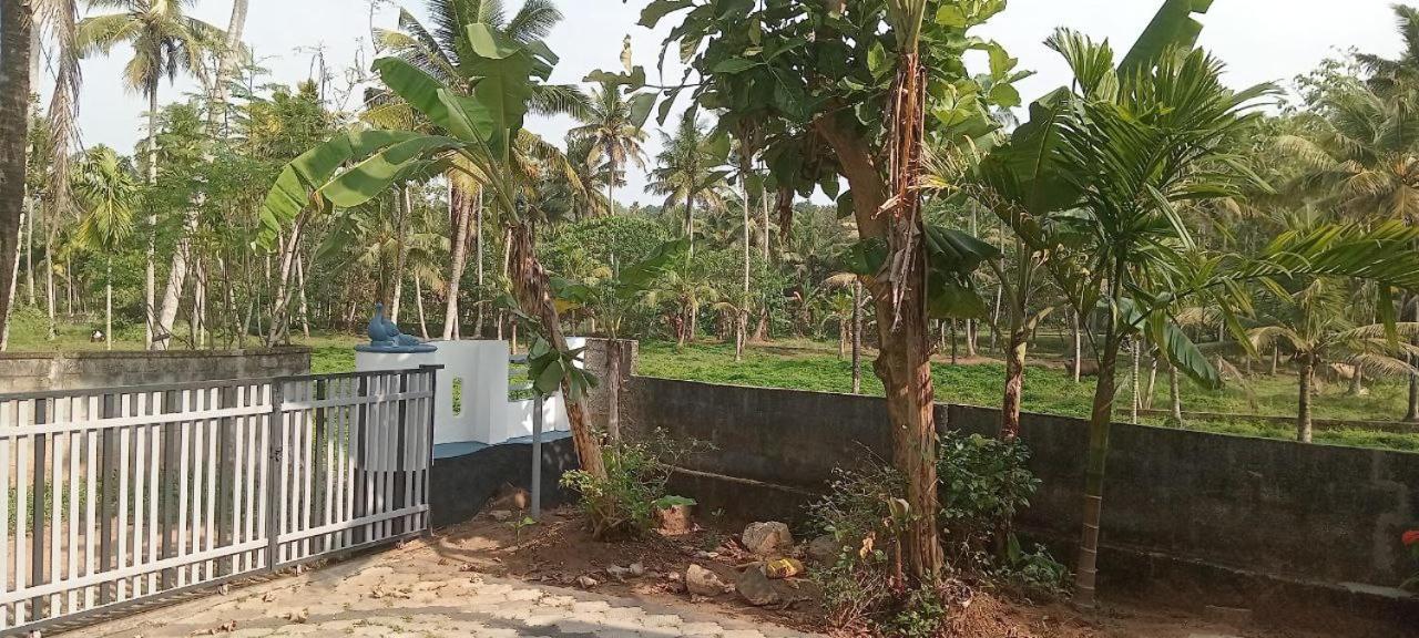 White Castle Homestay * Varkala