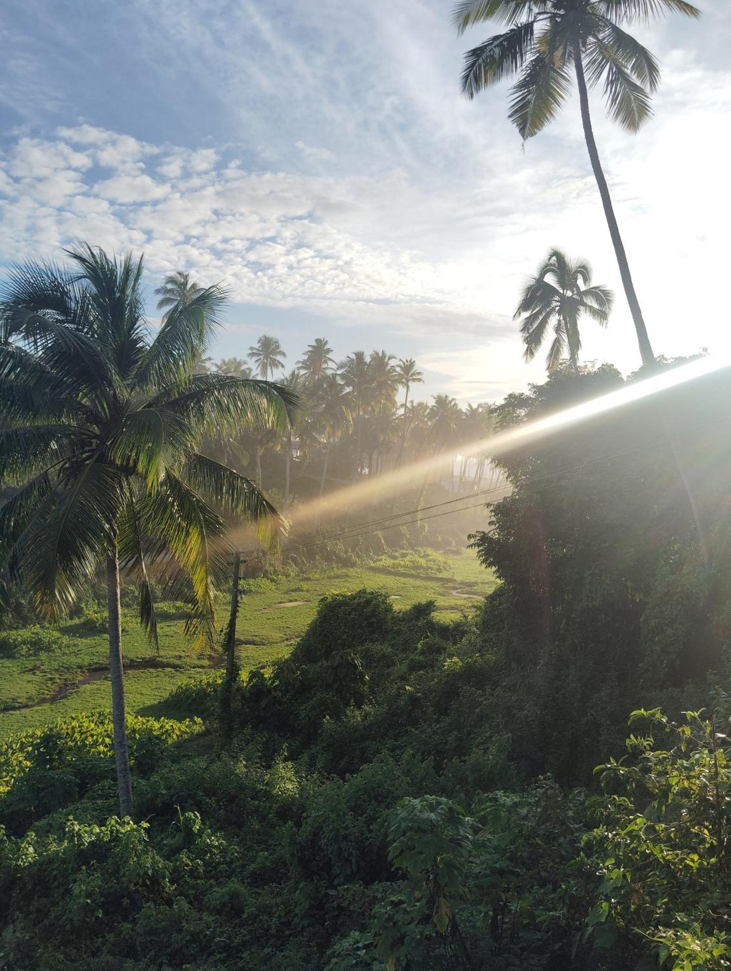 Joseph Dale * Varkala