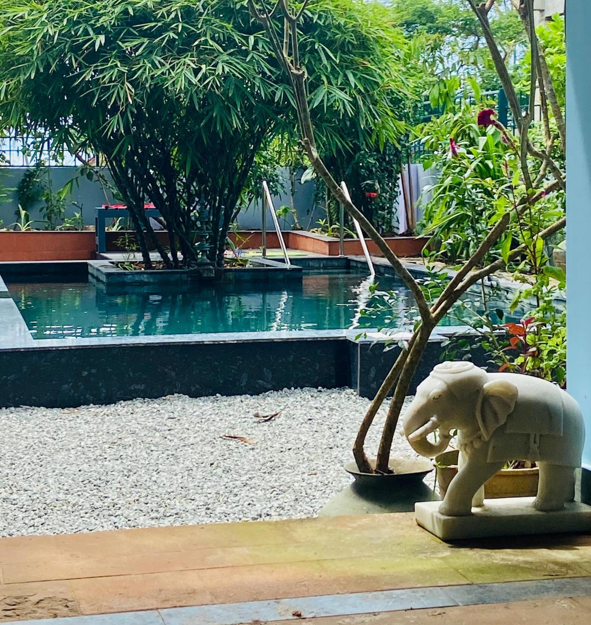 Jacaranda Bed & Breakfast
