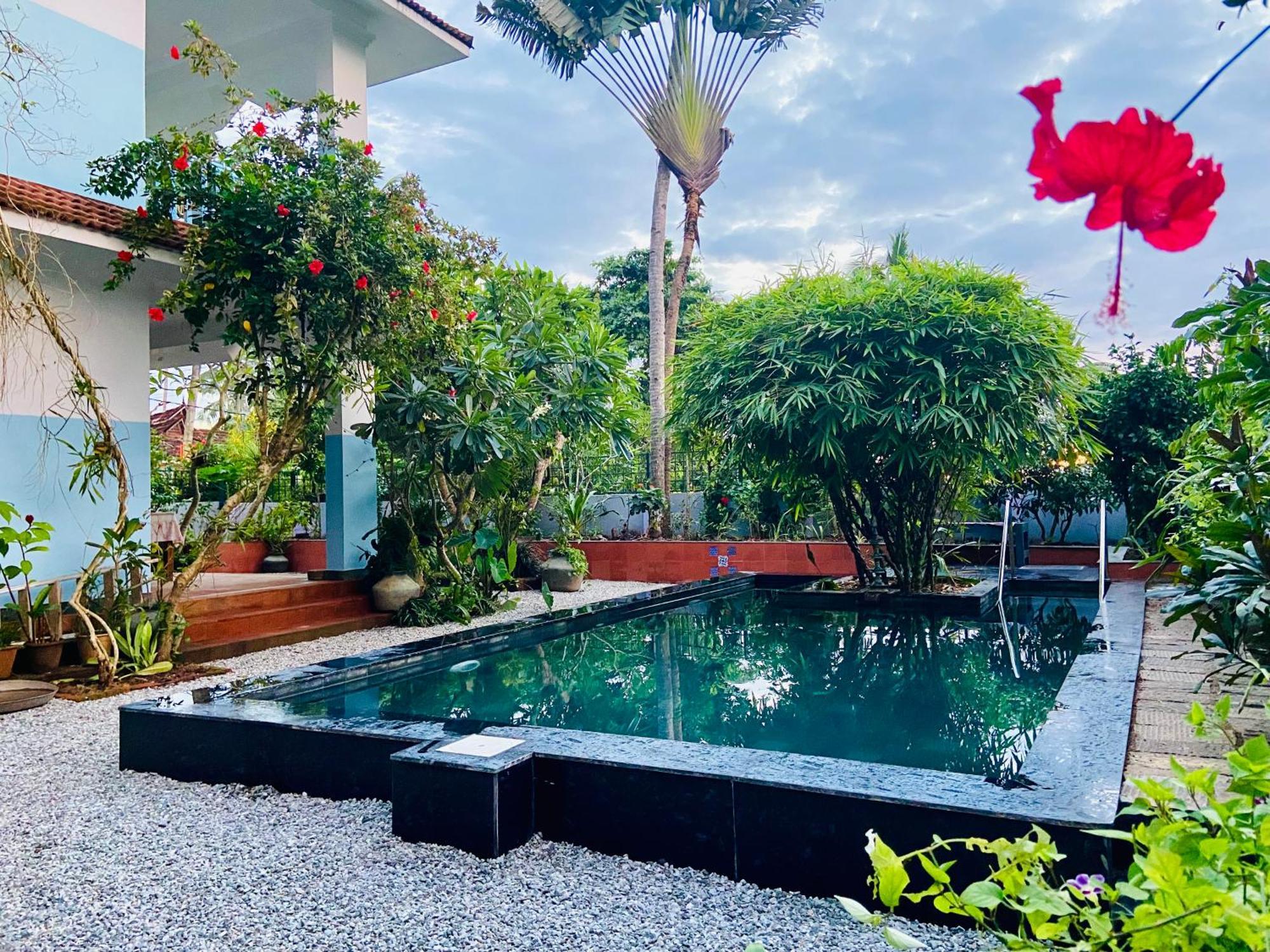 Bed & Breakfast Jacaranda *
