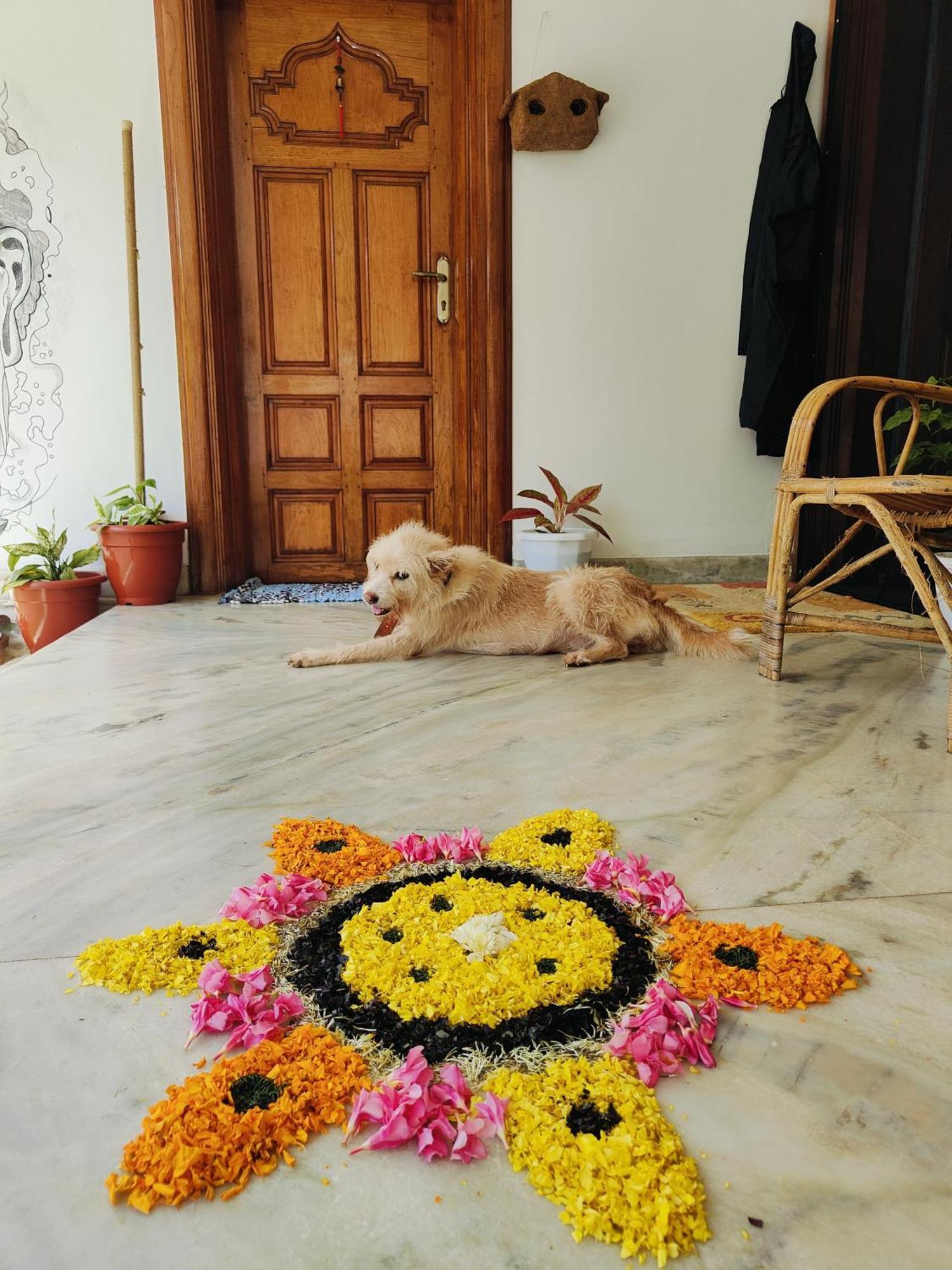 Shamak * Varkala