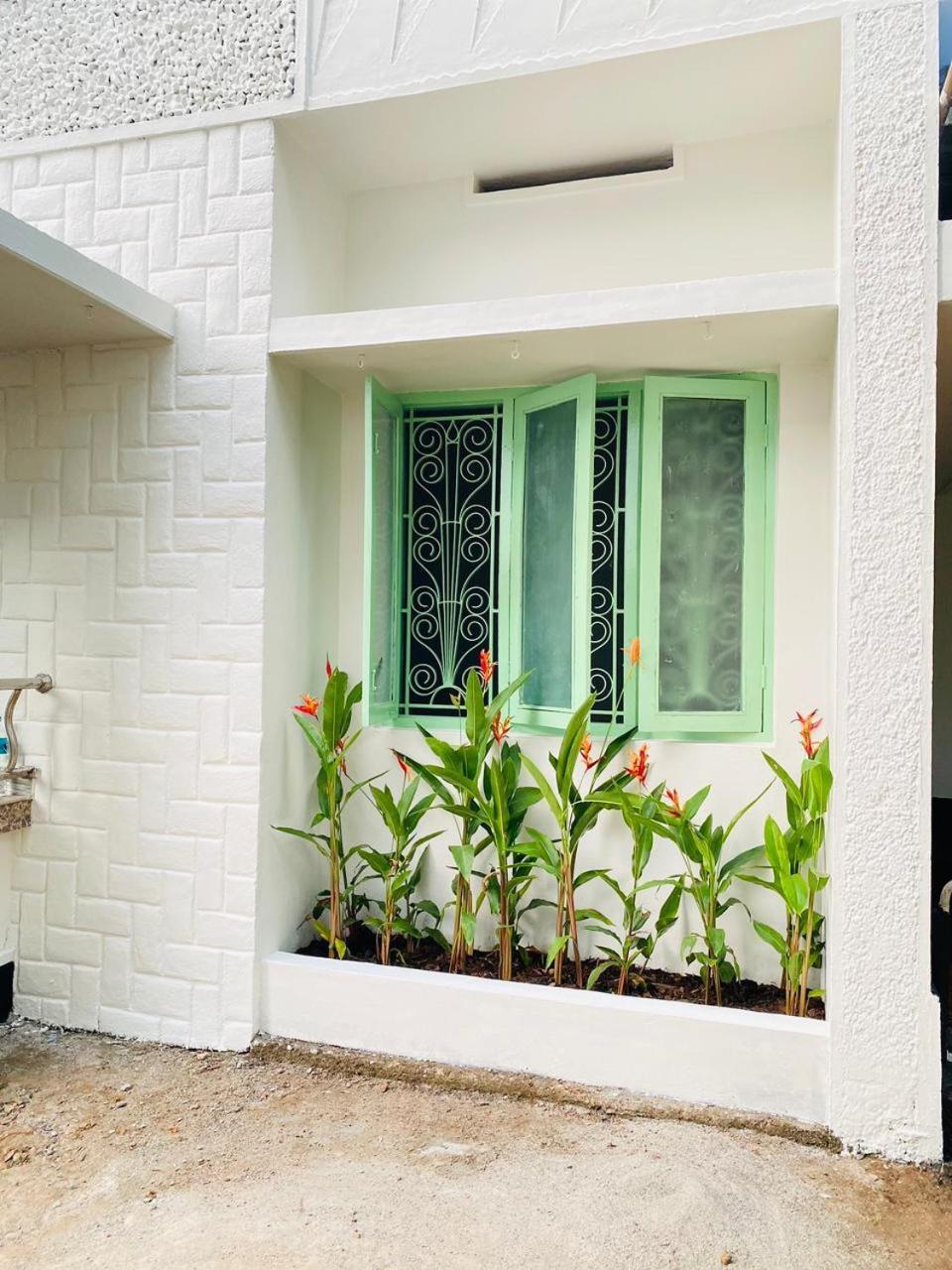 Calathea Guest house Varkala
