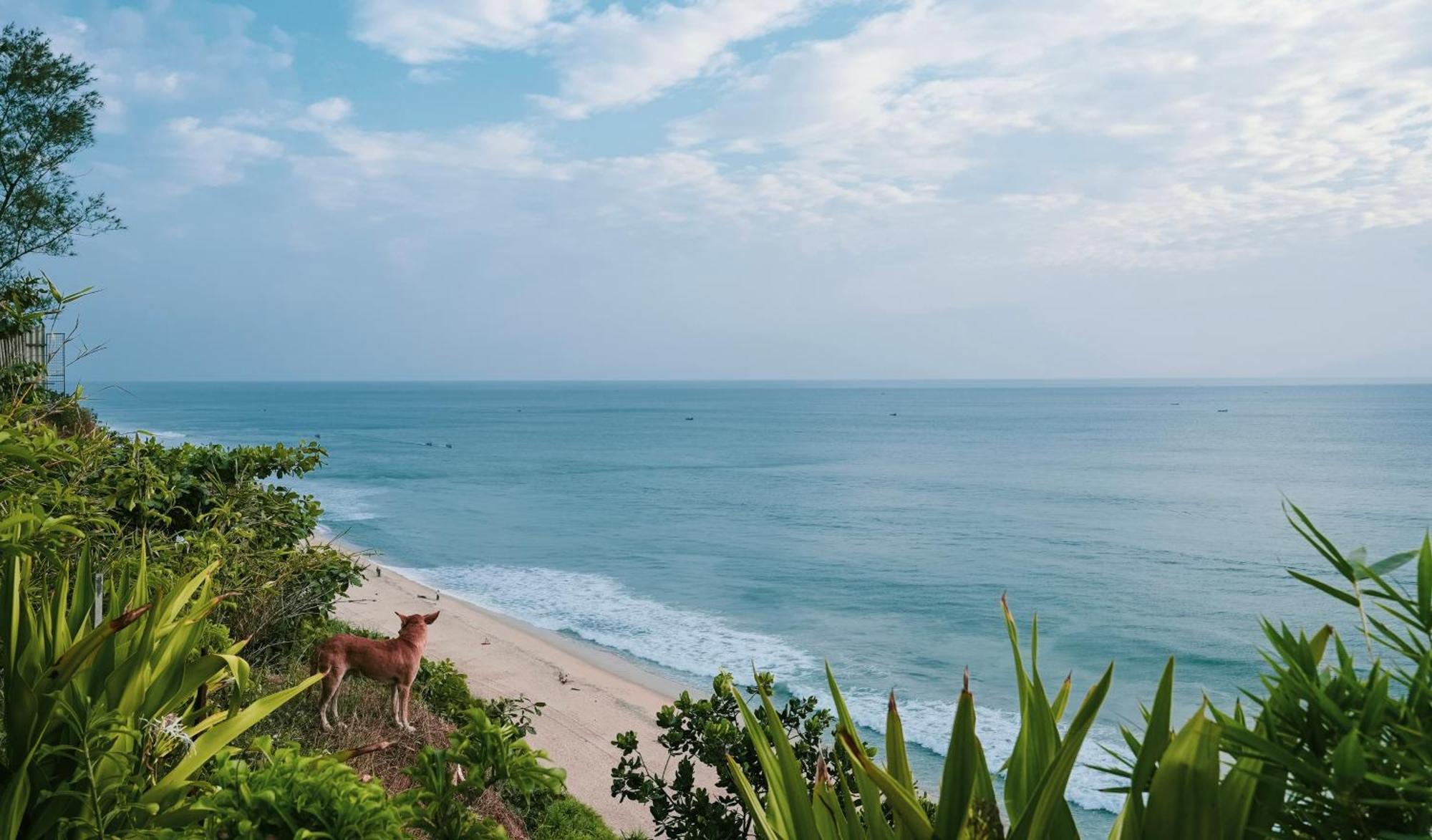 Nidra By Sarwaa Bed & Breakfast Varkala