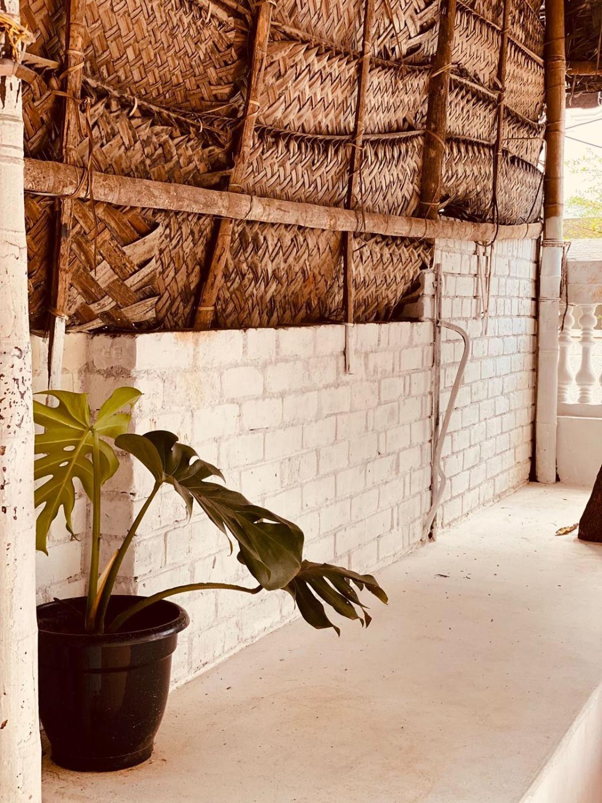 The Clift Homestay