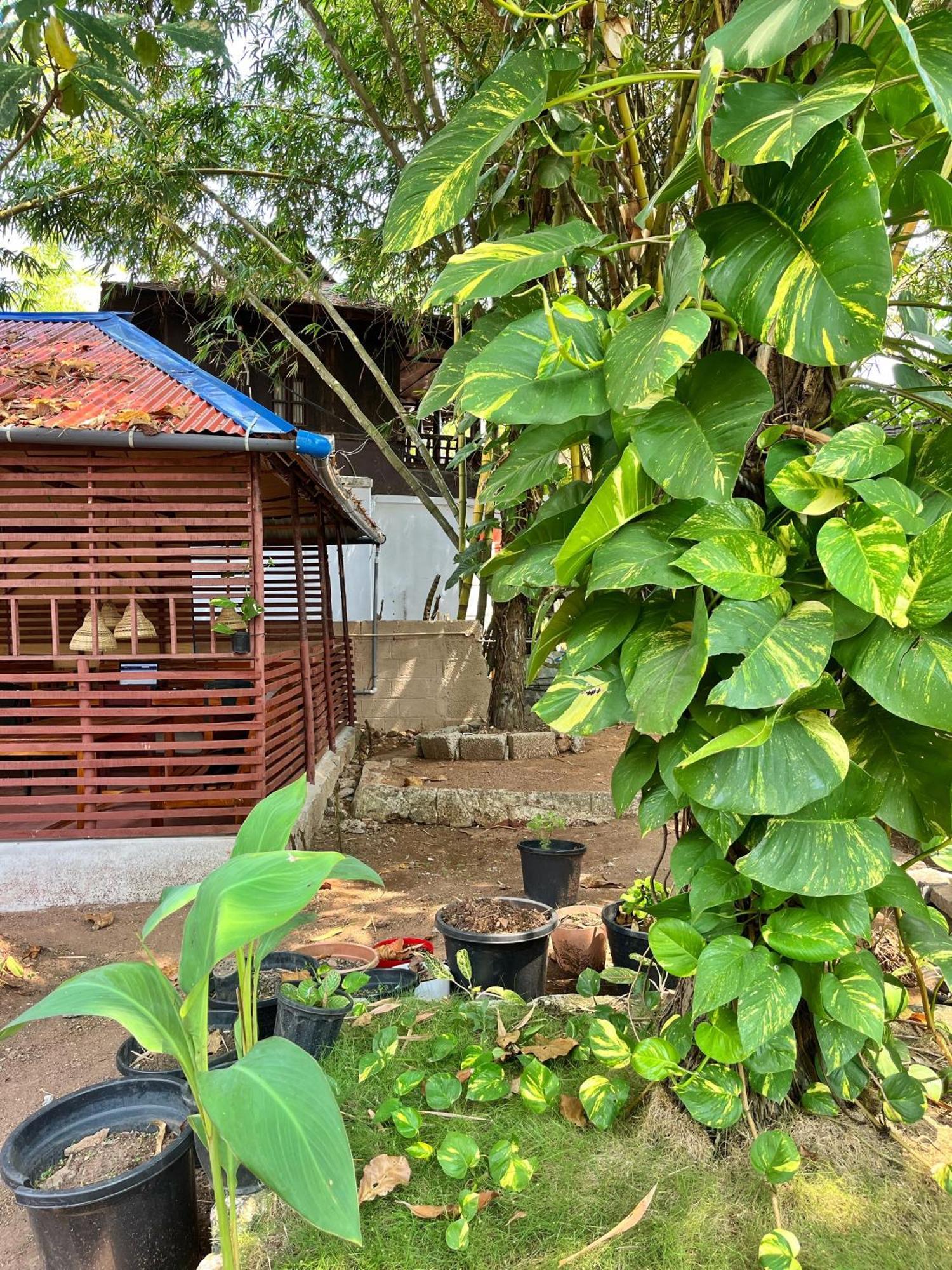 Bava & Retreat Center Guest house *