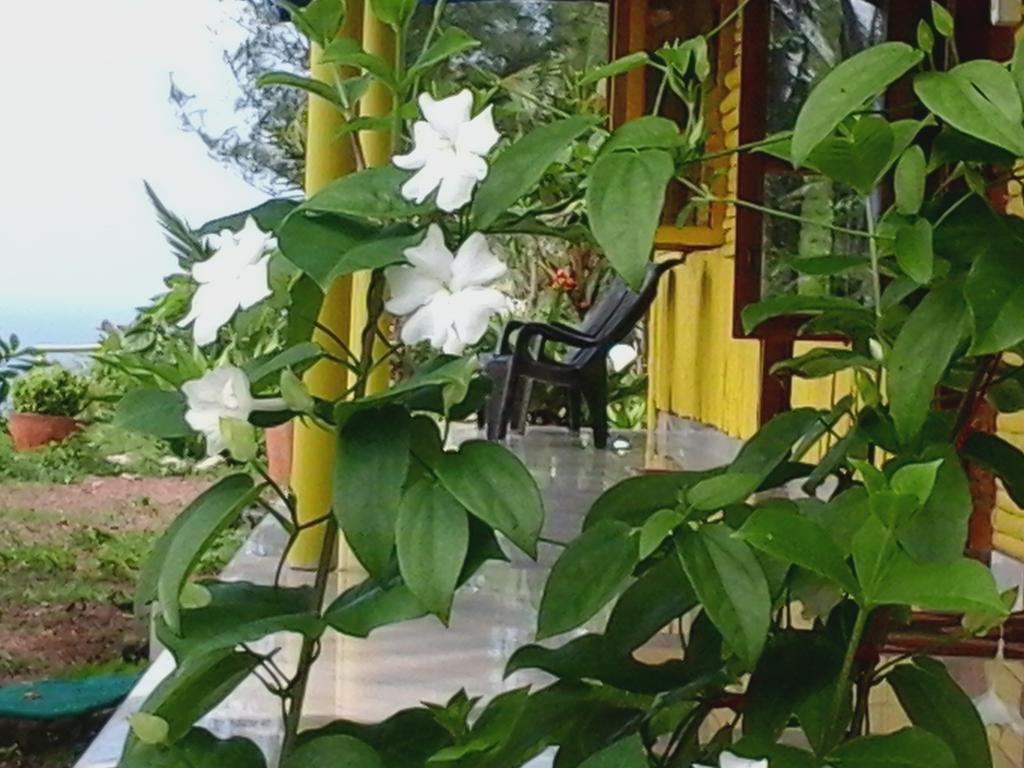 Bed & Breakfast Bamboo Village Varkala