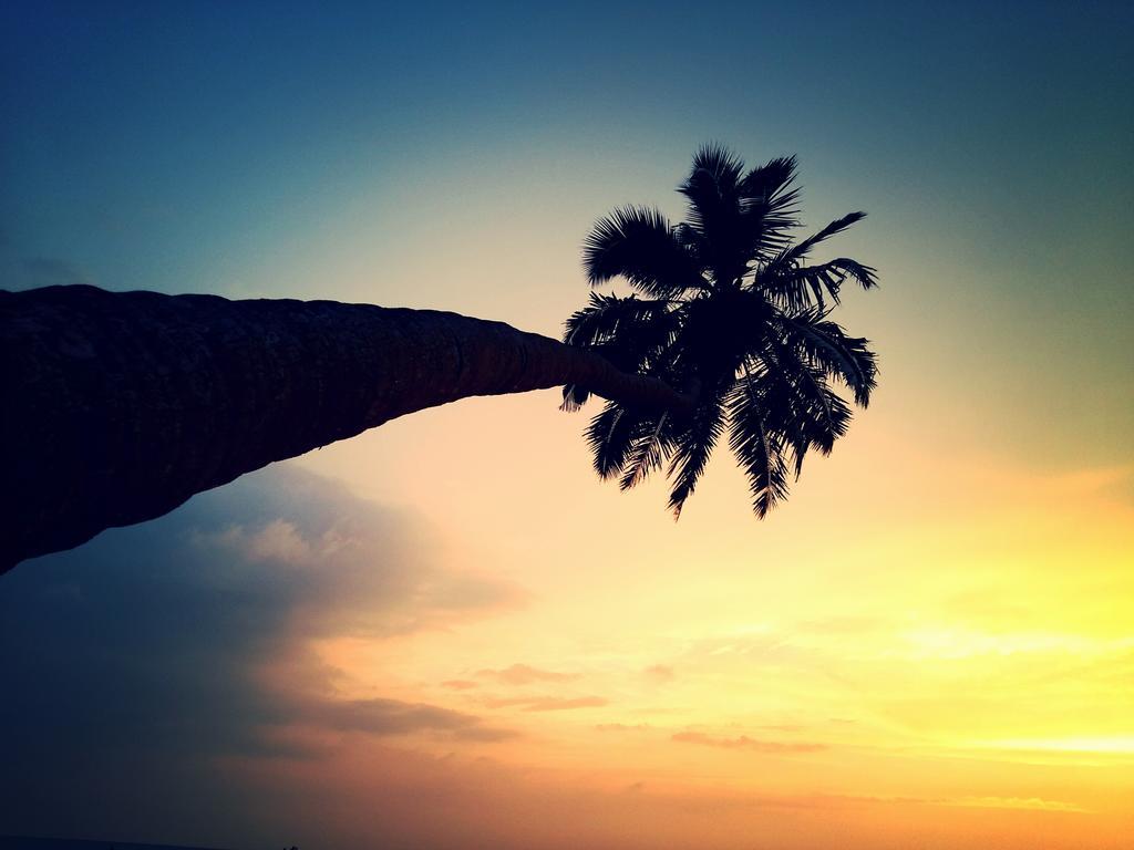 M R Beach & *