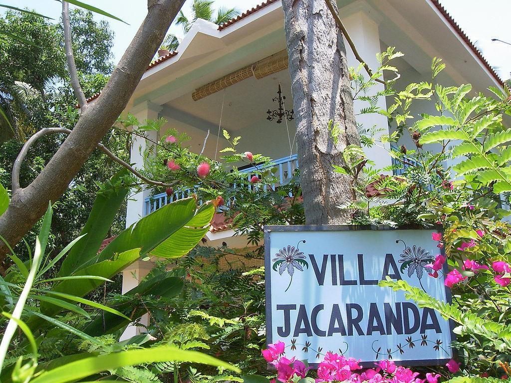 Jacaranda