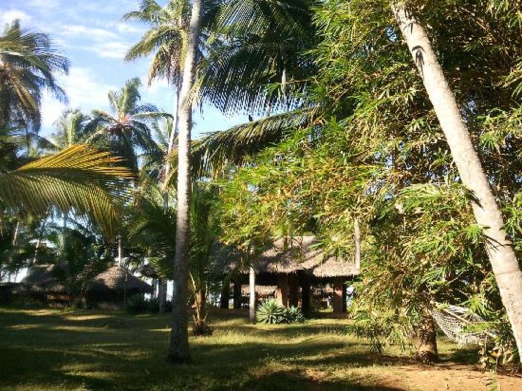Mektoub Beach 3* Varkala