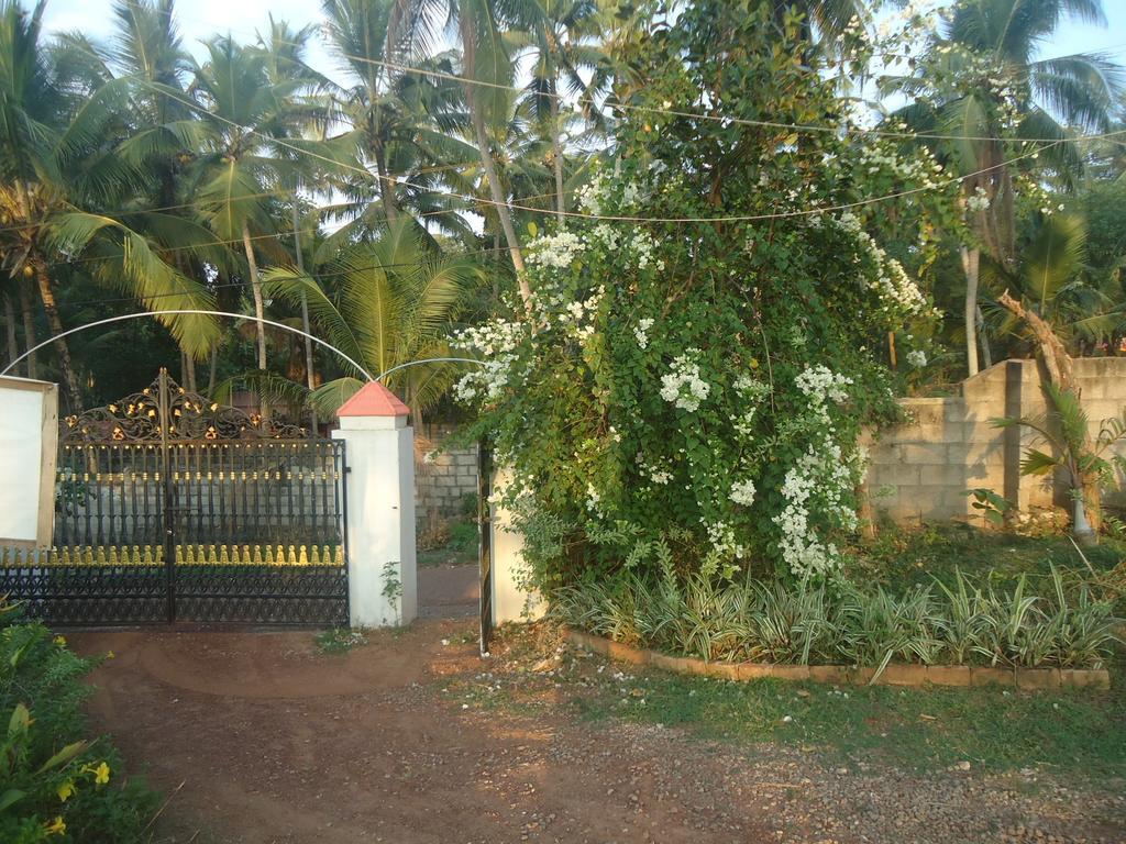 Bamboo Village