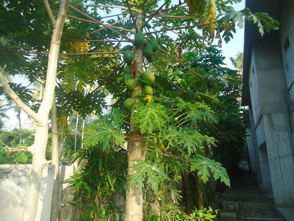 Bed & Breakfast Bamboo Village Varkala
