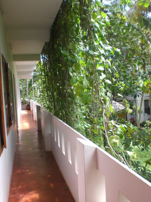 Guest house Jickys Nest 2*