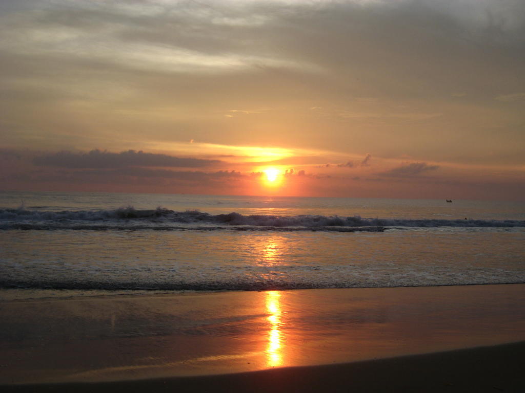Jickys Nest Varkala