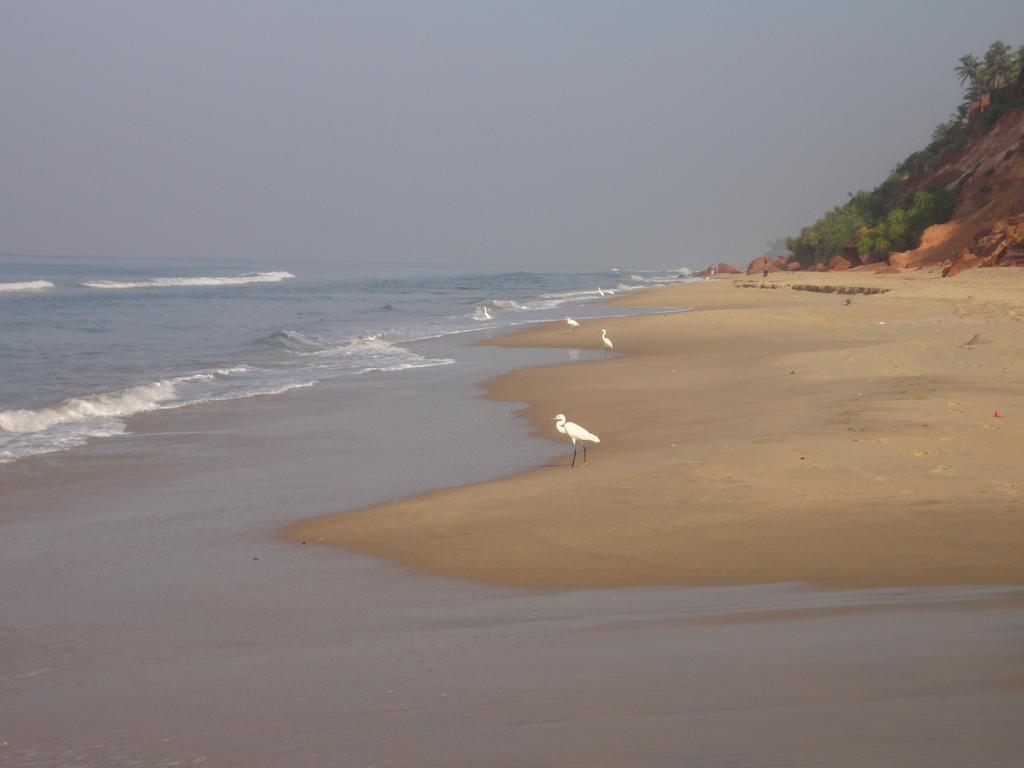 The Oceano Varkala