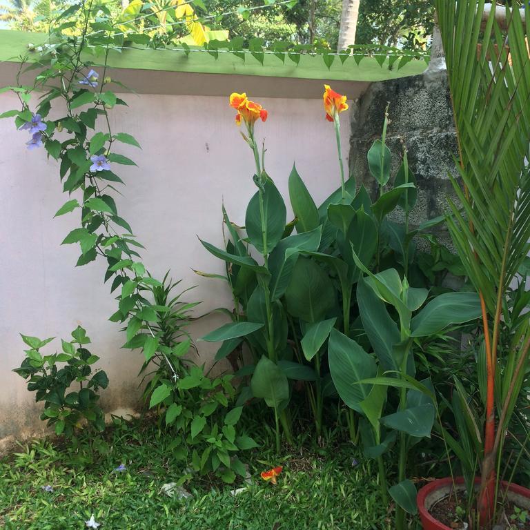 Green Garden & Bed & Breakfast *