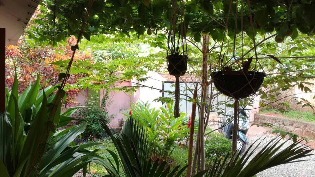 Green Garden & * Varkala