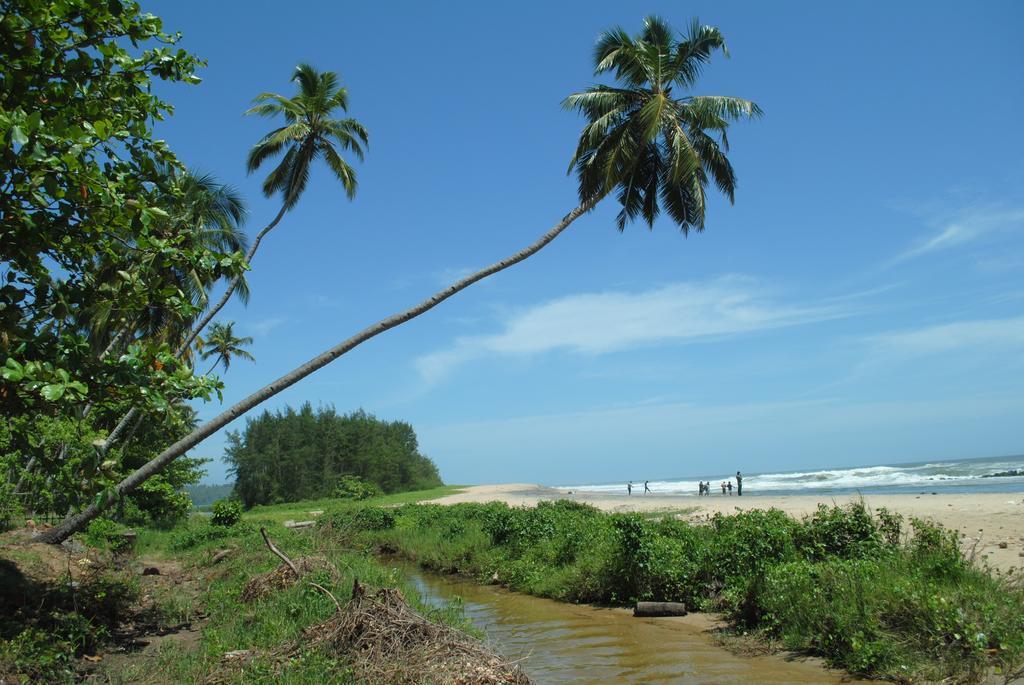 M R Beach & Varkala