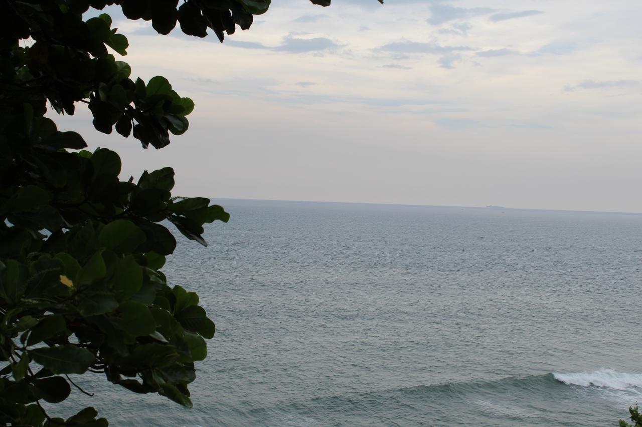 The Exotic Marigold Varkala