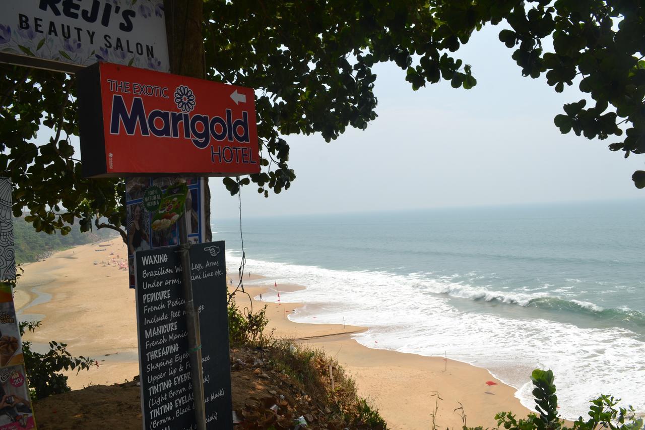 The Exotic Marigold Hotel *