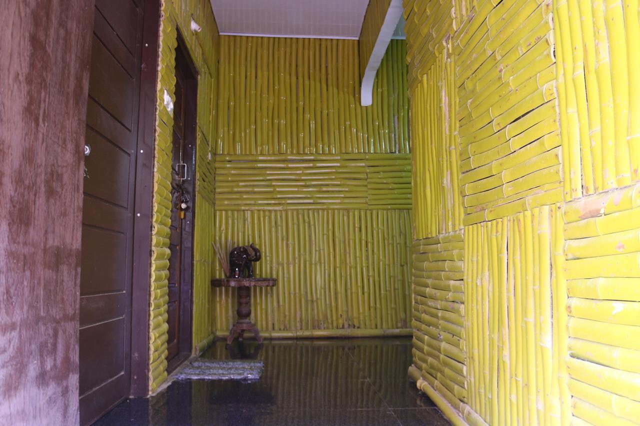 Mummy Bamboo House *