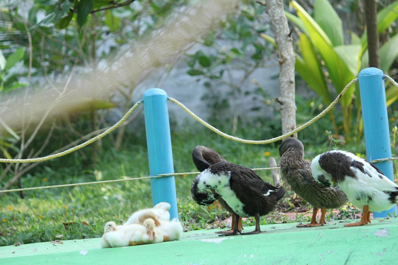 Resort True Blue Varkala
