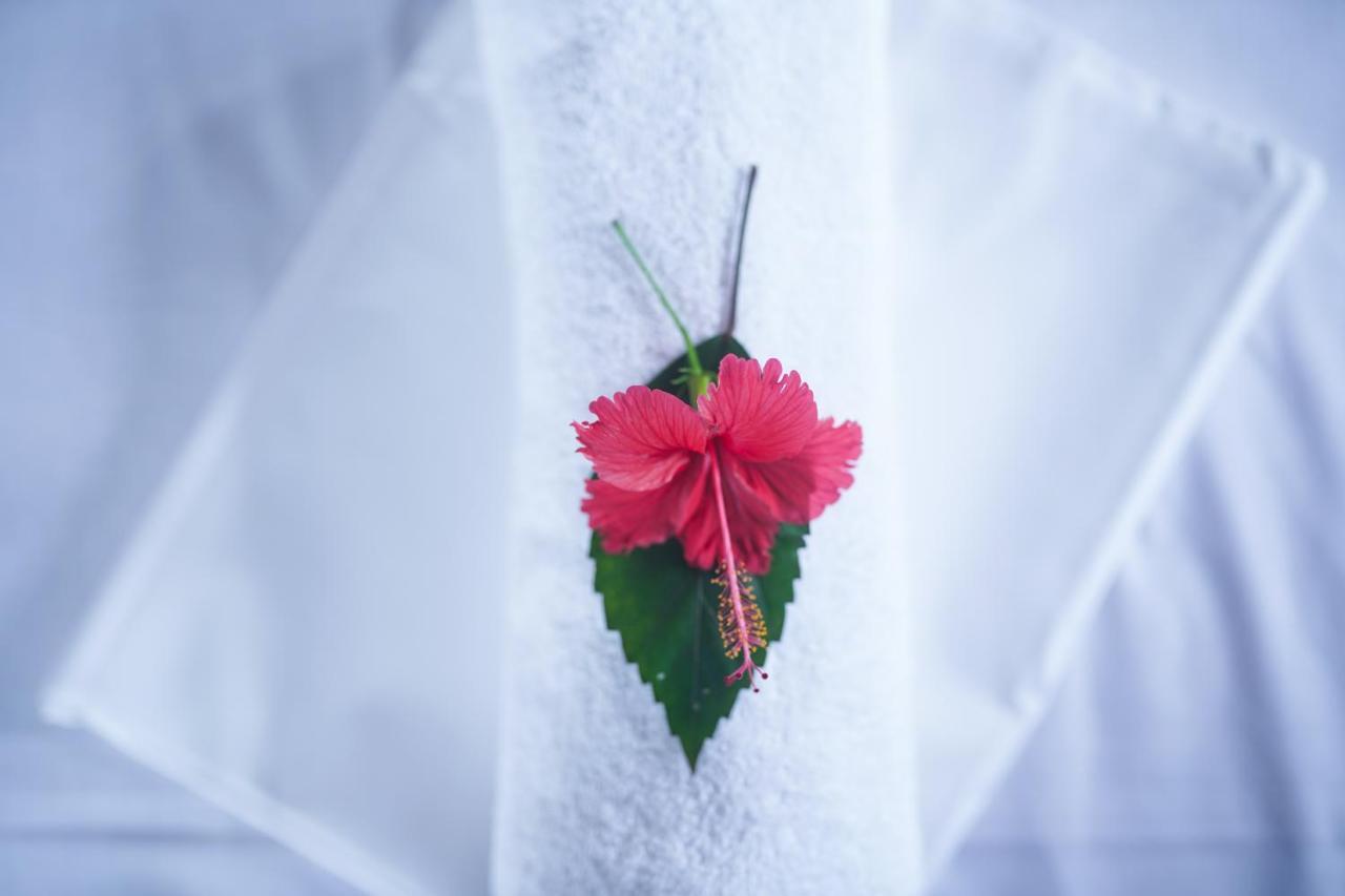 Tropical Temple Bed & Breakfast *