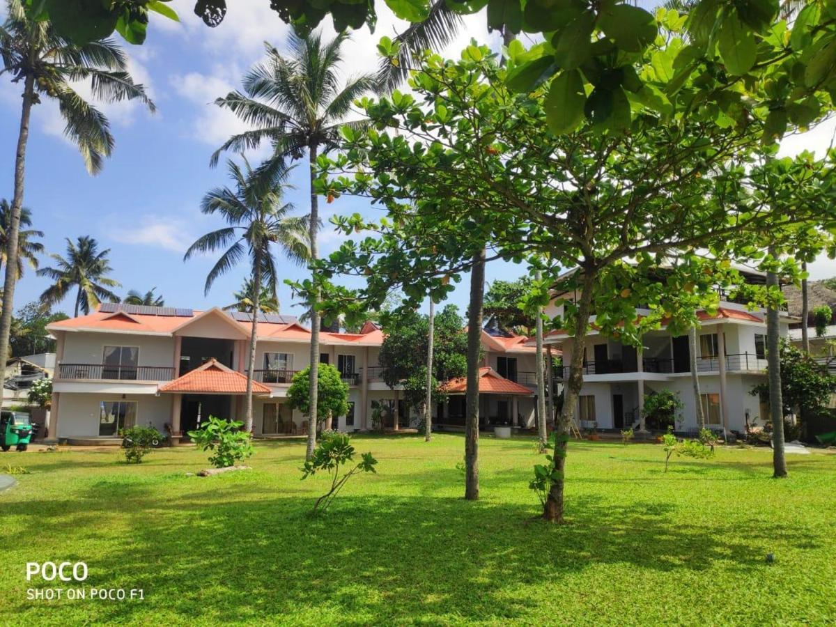 Pura Vida