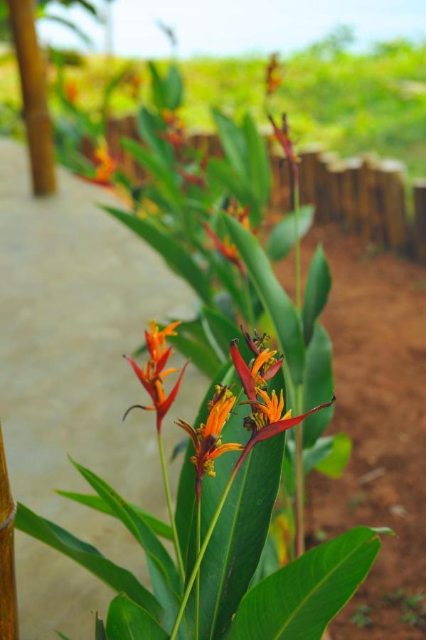 Pura Vida * Varkala