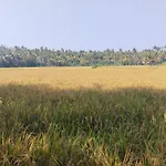 Paddy Farm Heritage