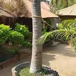 Kerala Bamboo House