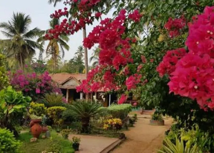 Kerala Bamboo House