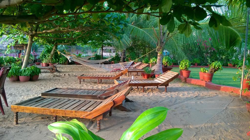 Resort Palm Tree Anex