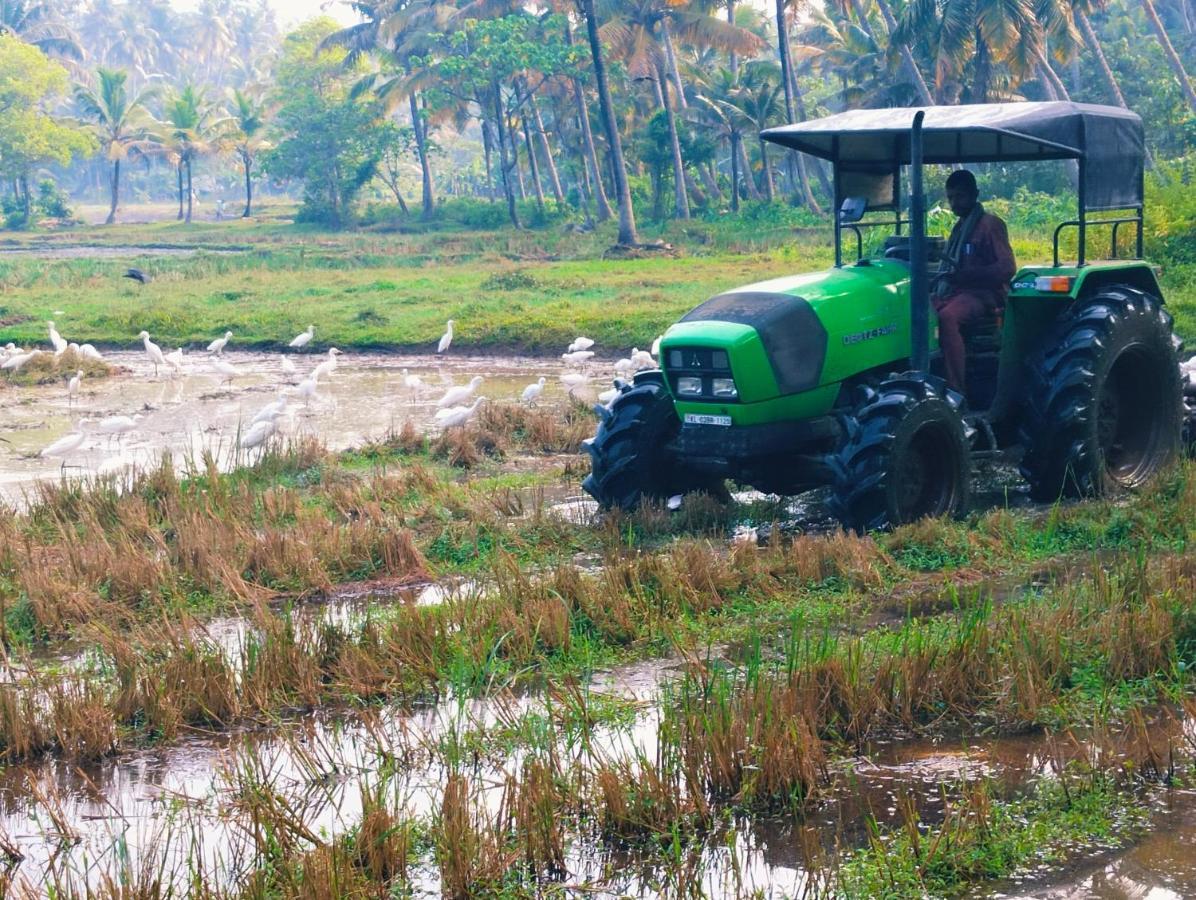 Paddy Farm Heritage Resort *